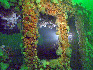 Blick von außen in das Deckshaus Blick von außen in das Deckshaus